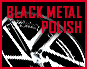 スーパースター 40周年記念カラー「ブラックメタルポリッシュ」