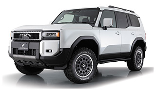 LDD-1 TOYOTA LAND CRUISER 250