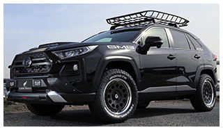 LDD-1 TOYOTA RAV 4（50）